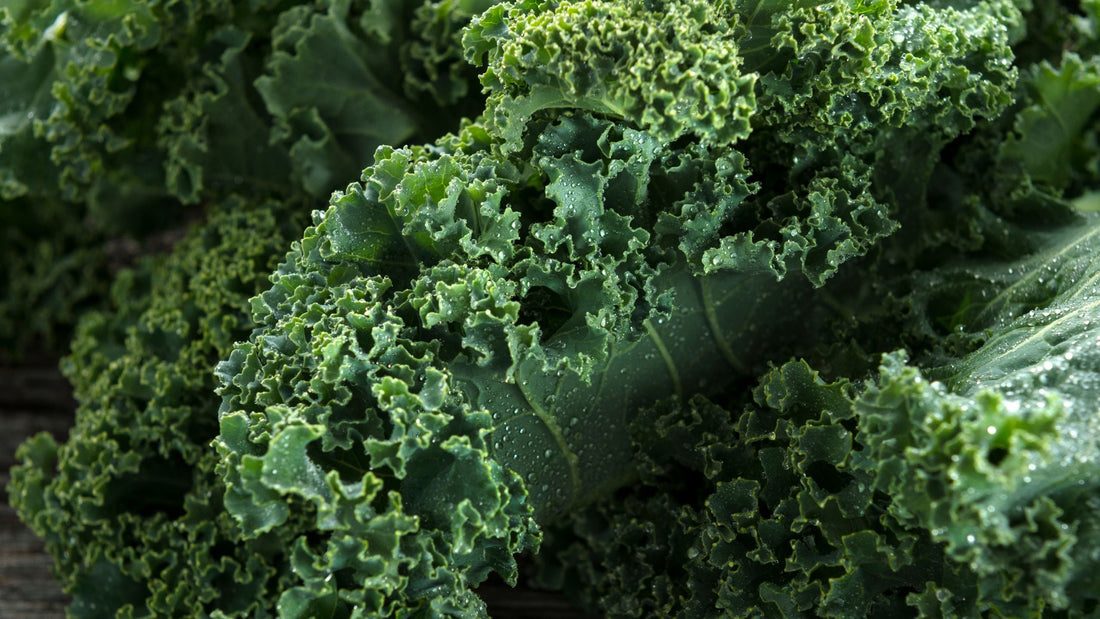 a close up of curly kale