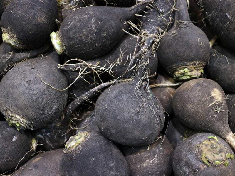 Black Maca