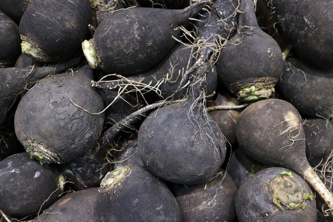 Black Maca