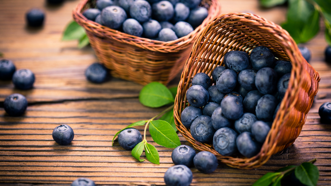 Benefits of Blueberries