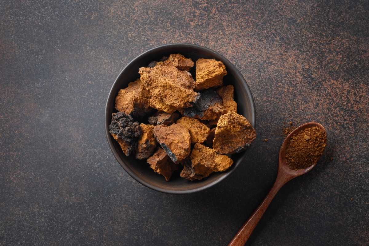 Chaga – One of Nature’s Most Powerful Superfoods