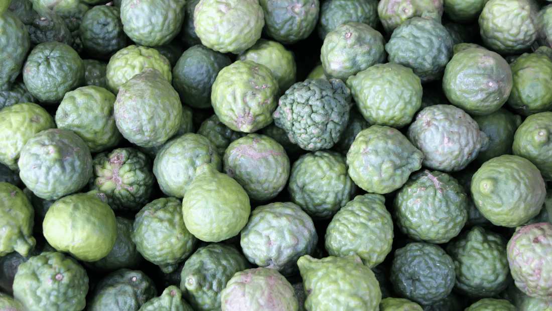 What is Citrus Bergamot?