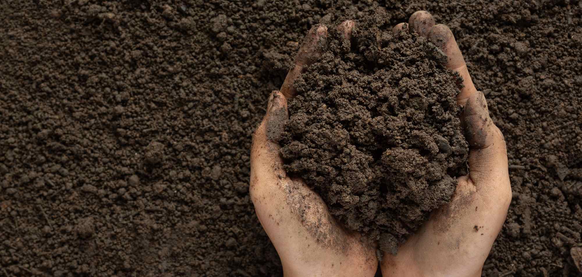 Humic and Fulvic Acids - two hands cupping soil -Humiplex
