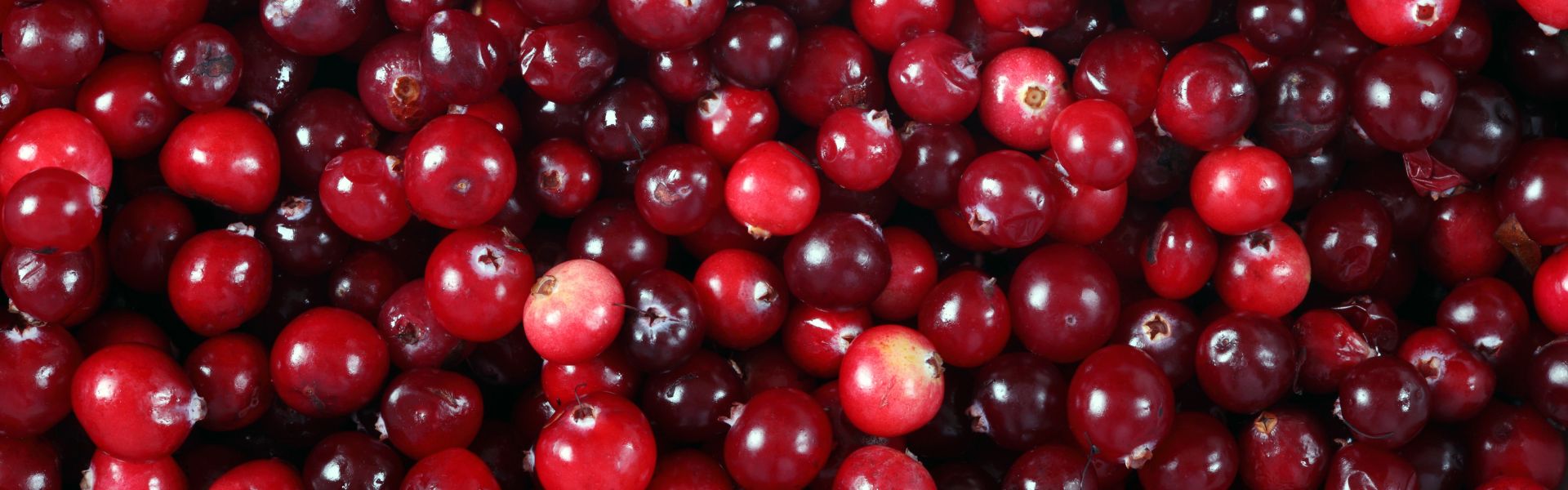 Cranberry