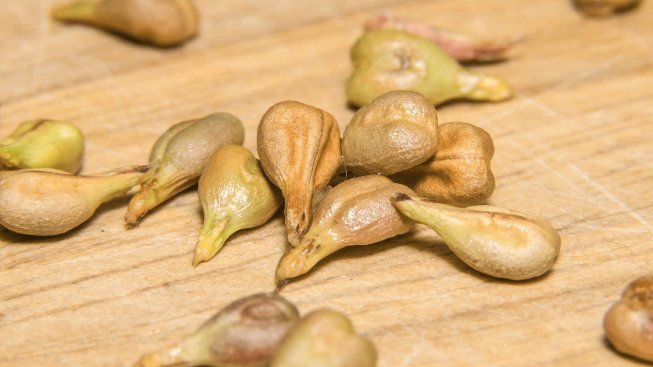 What's great about Grape Seed?