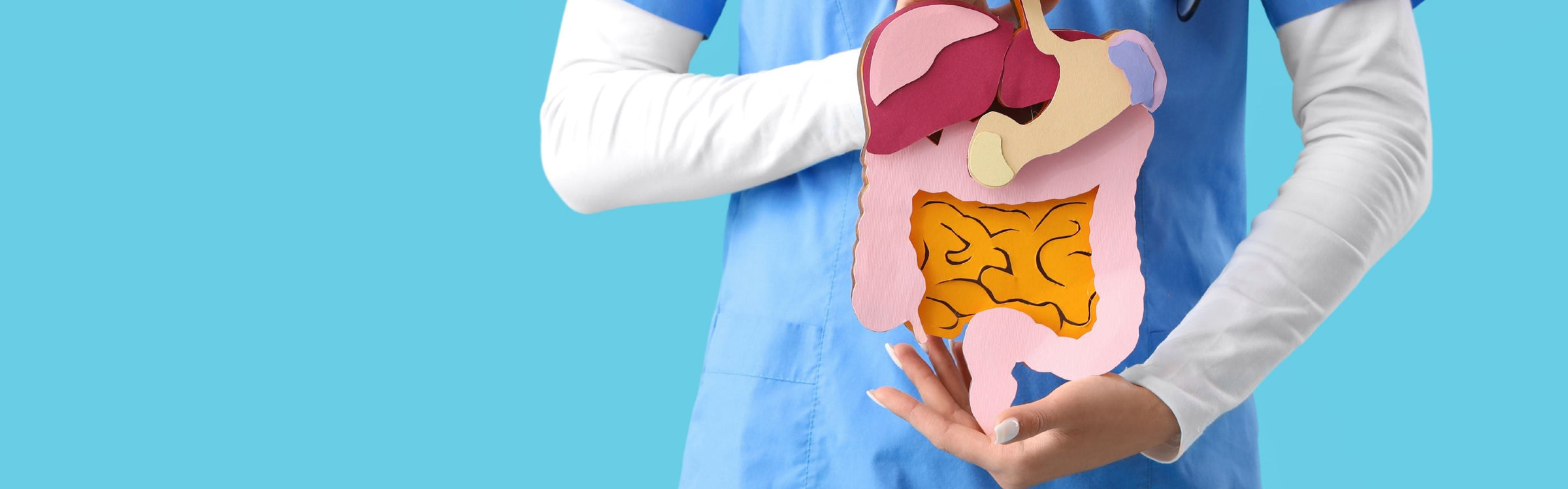 Lactobacillus brevis