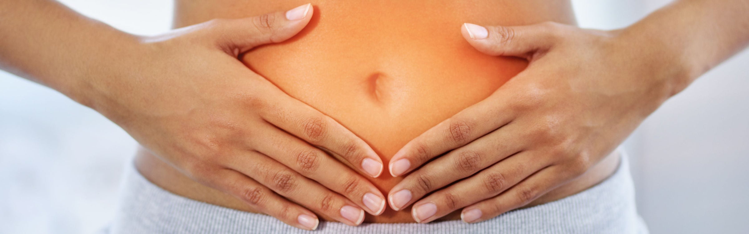 Lactobacillus bulgaricus