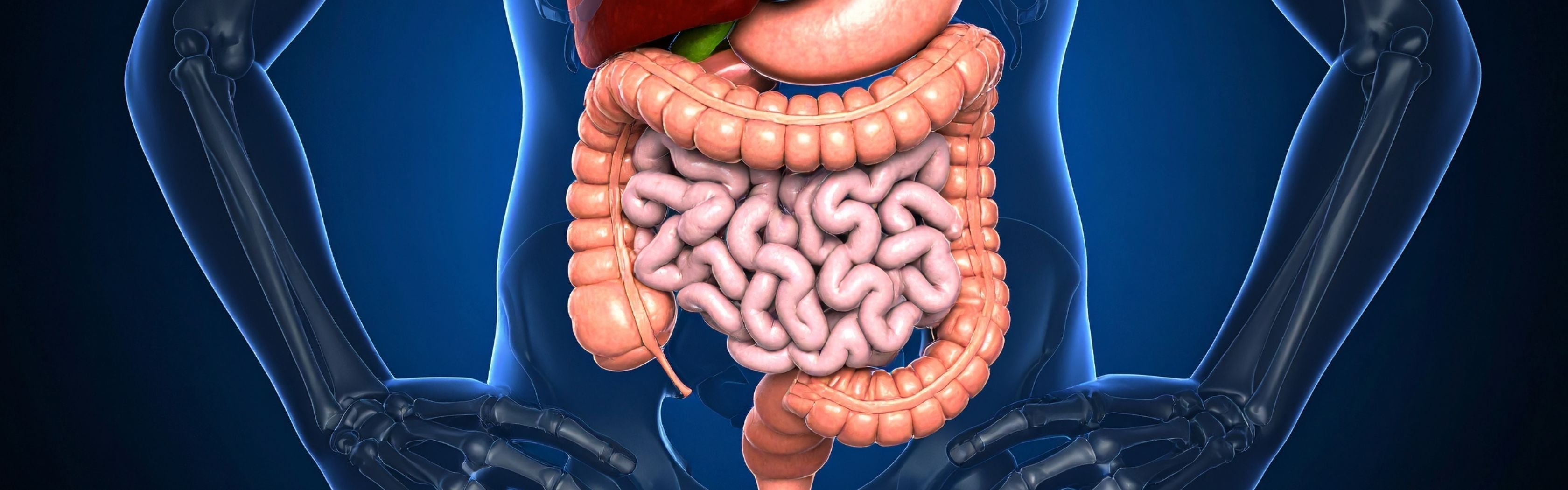 Lipase