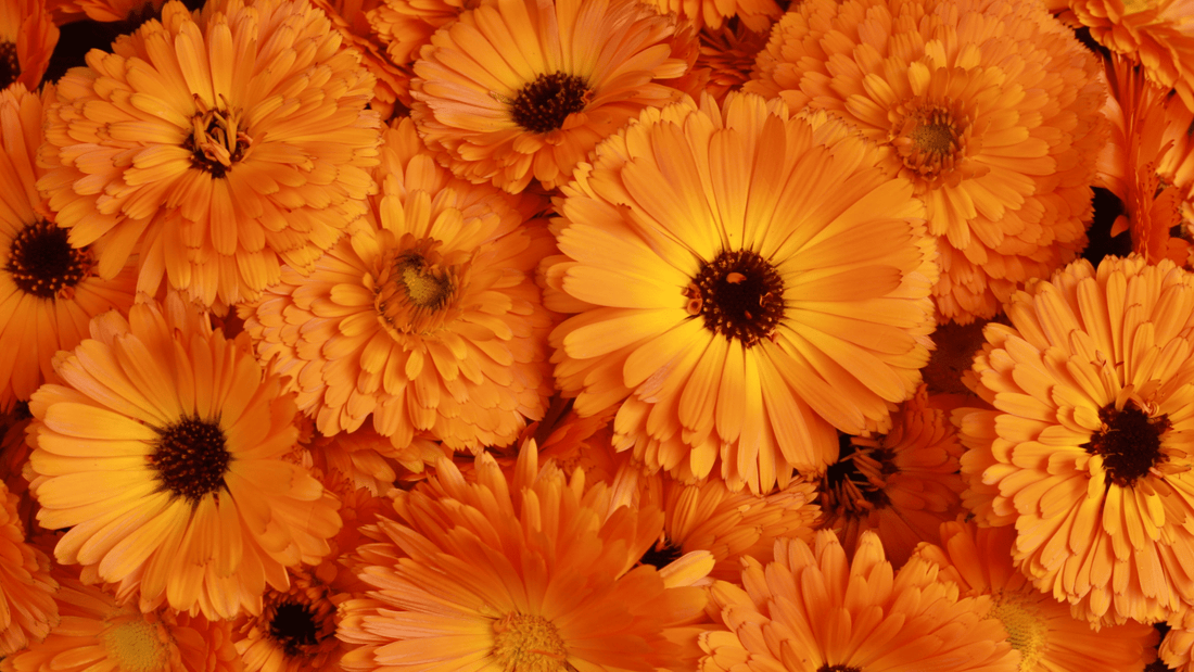 Eye health - how much lutein do I need?