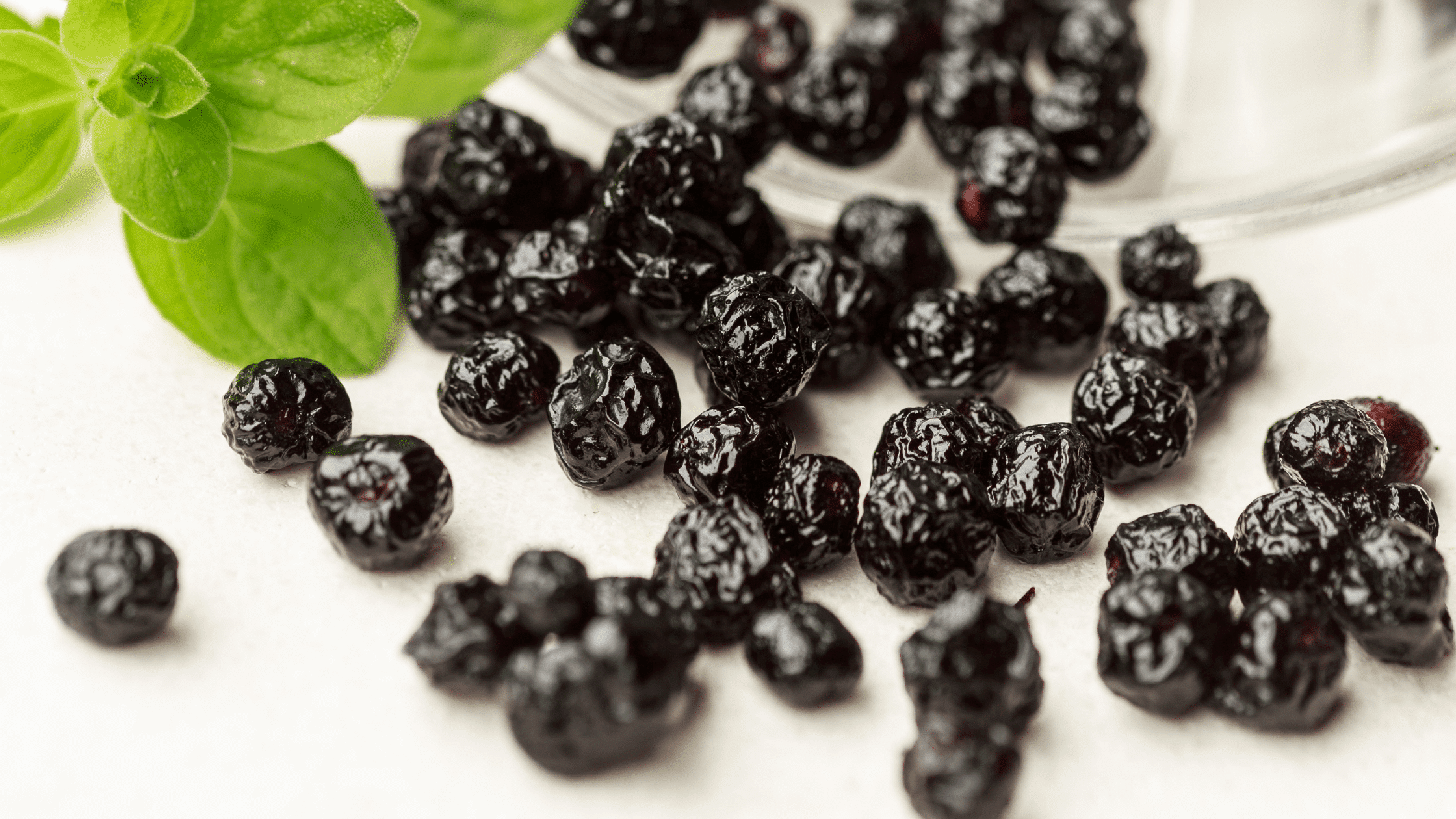 Magnificent Maqui Berry