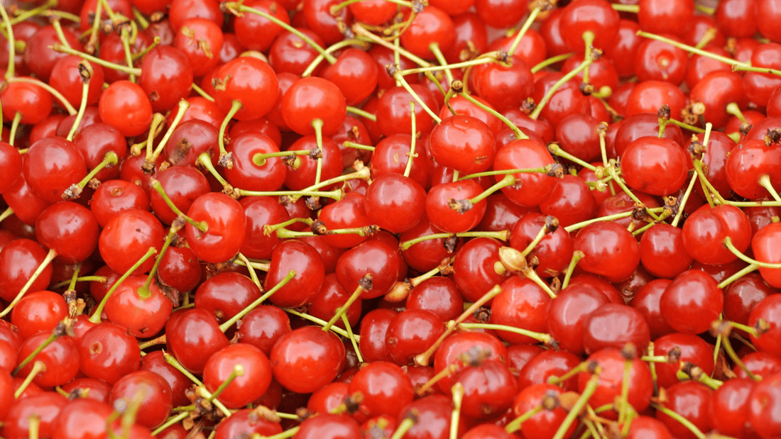 Benefits of Montmorency Cherry