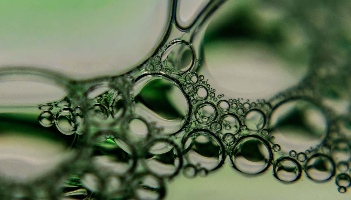 How Phytosomal Supplements Improve Absorption