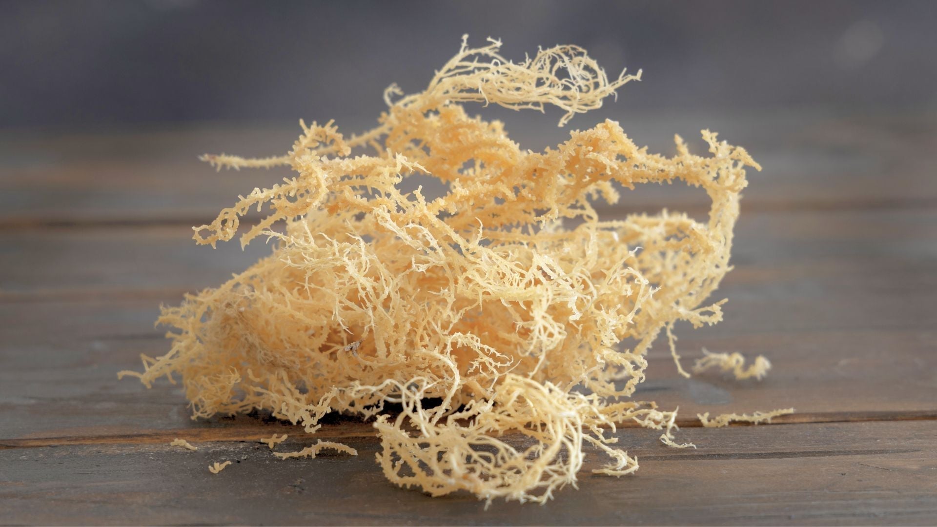 Luck of the Irish (Sea Moss)