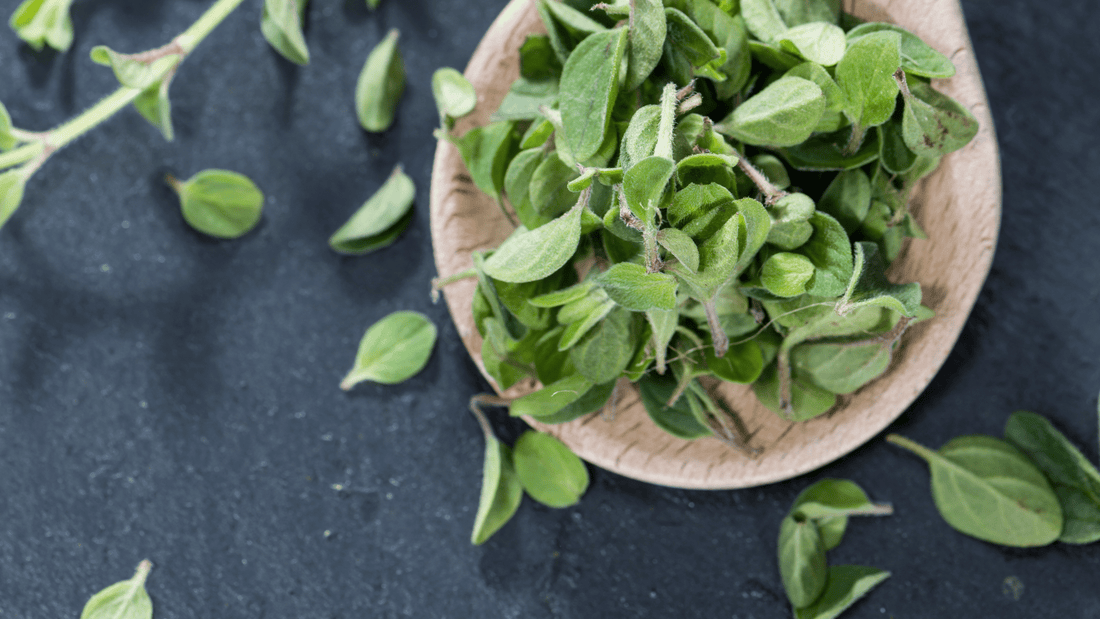 What does Oregano offer?