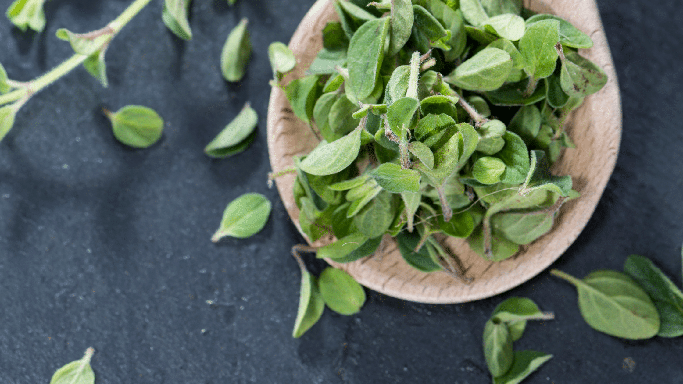 What does Oregano offer?