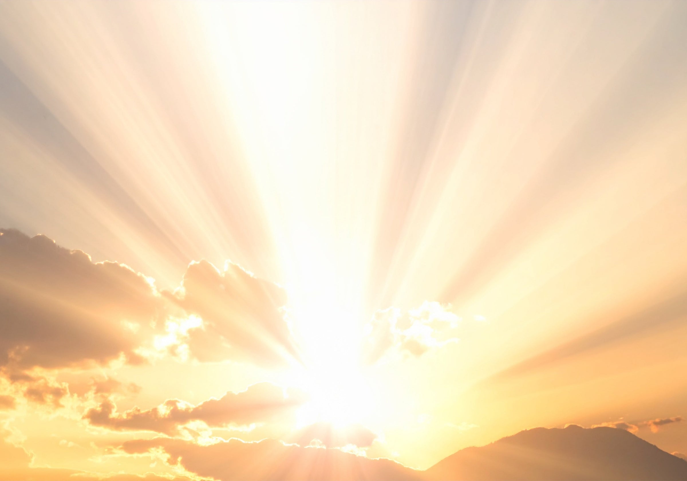 A Brief Guide to the Vitamin D, the Sunshine Vitamin