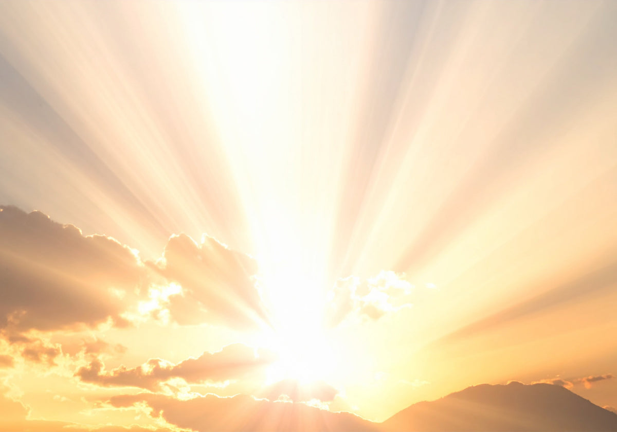 A Brief Guide to the Vitamin D, the Sunshine Vitamin