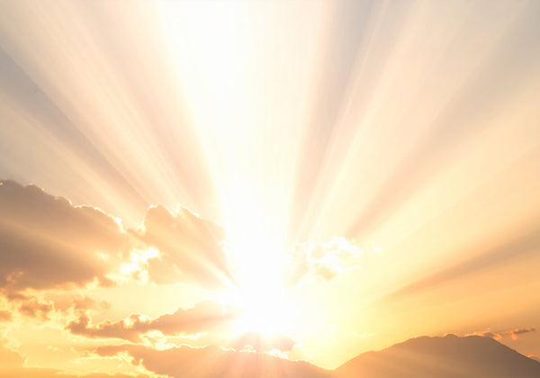 A Brief Guide to the Vitamin D, the Sunshine Vitamin