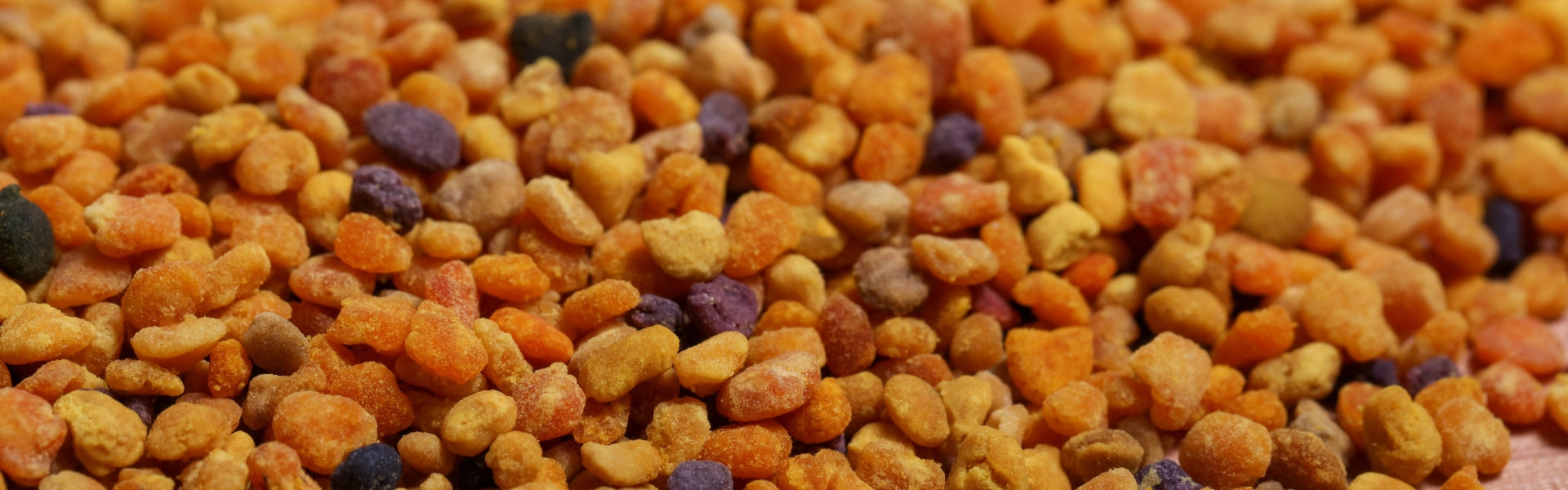 Bee Propolis