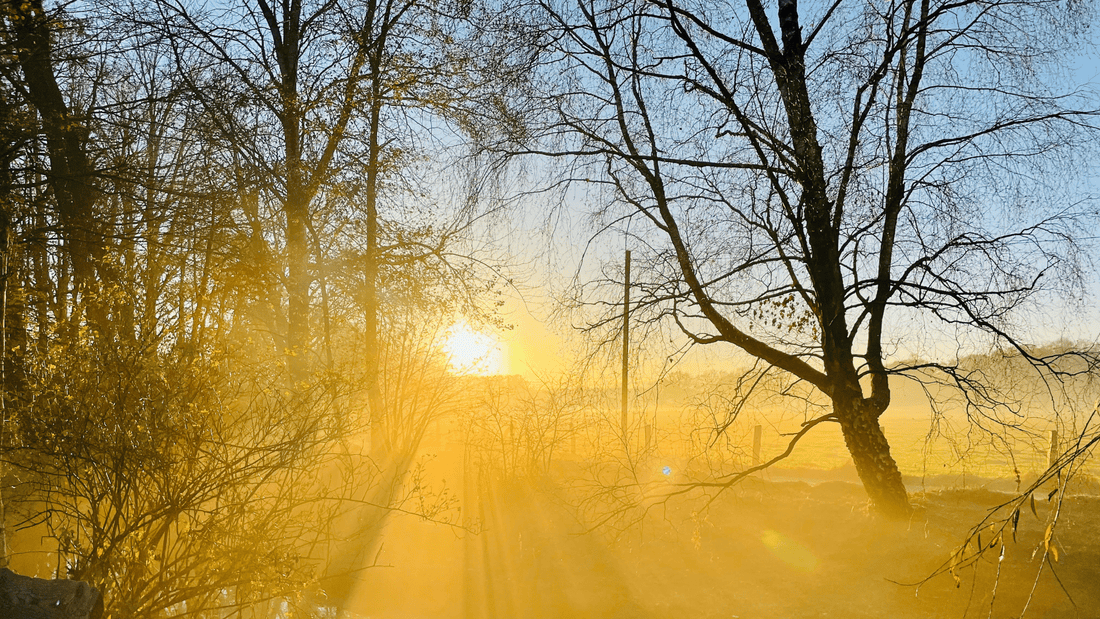 What causes seasonal depression and what can you do to address it?