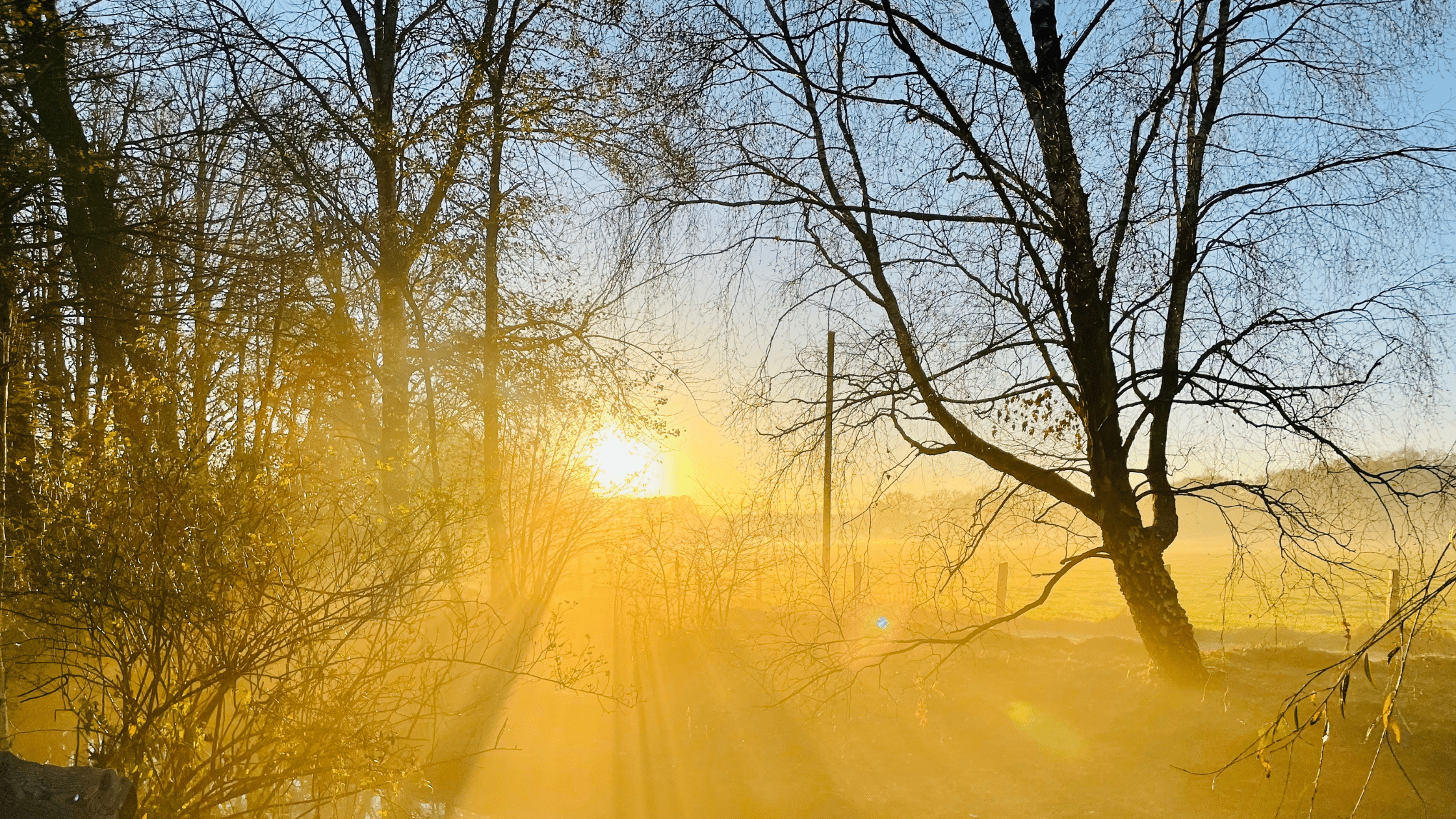 What causes seasonal depression and what can you do to address it?