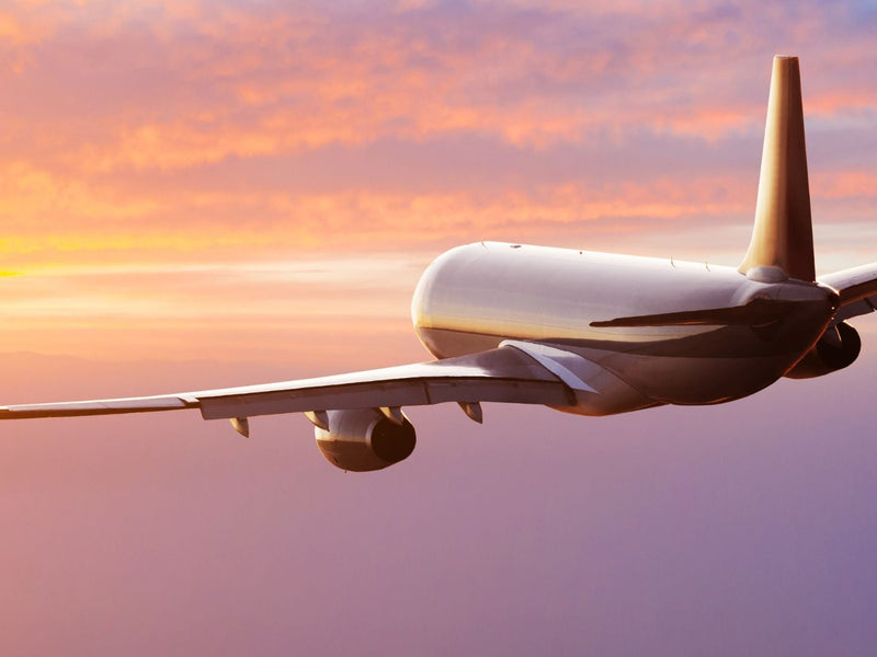 Saccharomyces Boulardii