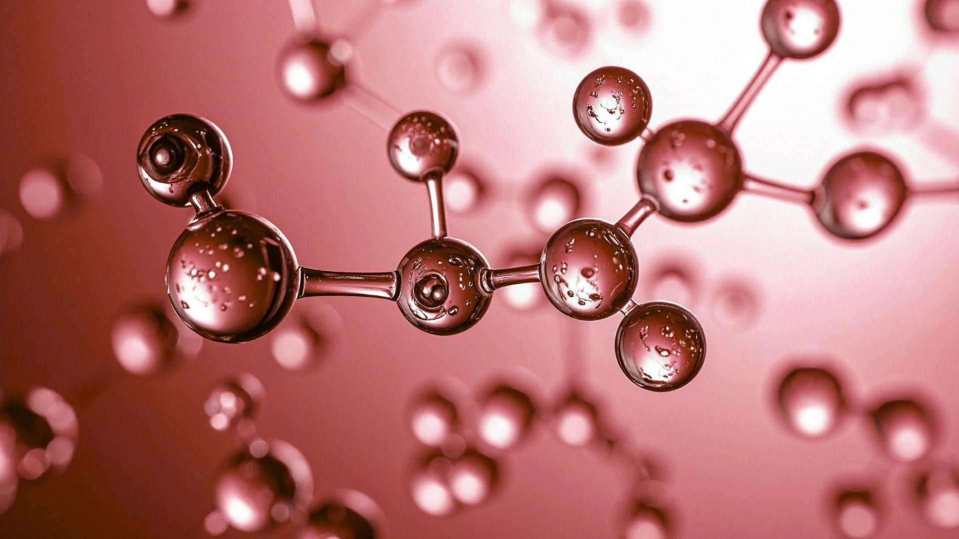 close up of cell structures on a red background