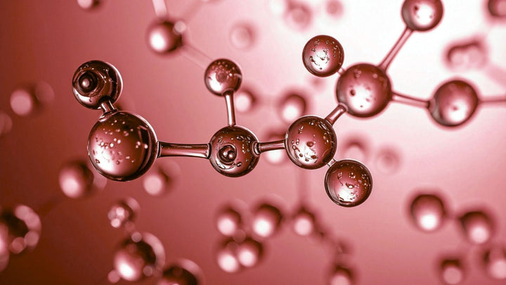 close up of cell structures on a red background