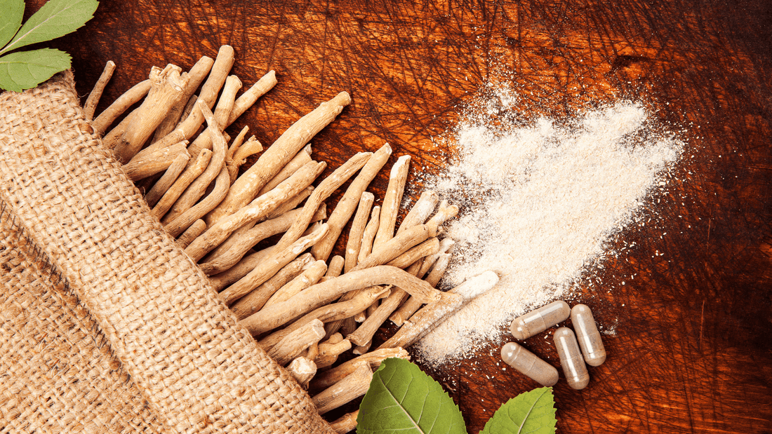 Ashwagandha: The Stress Relief Stallion