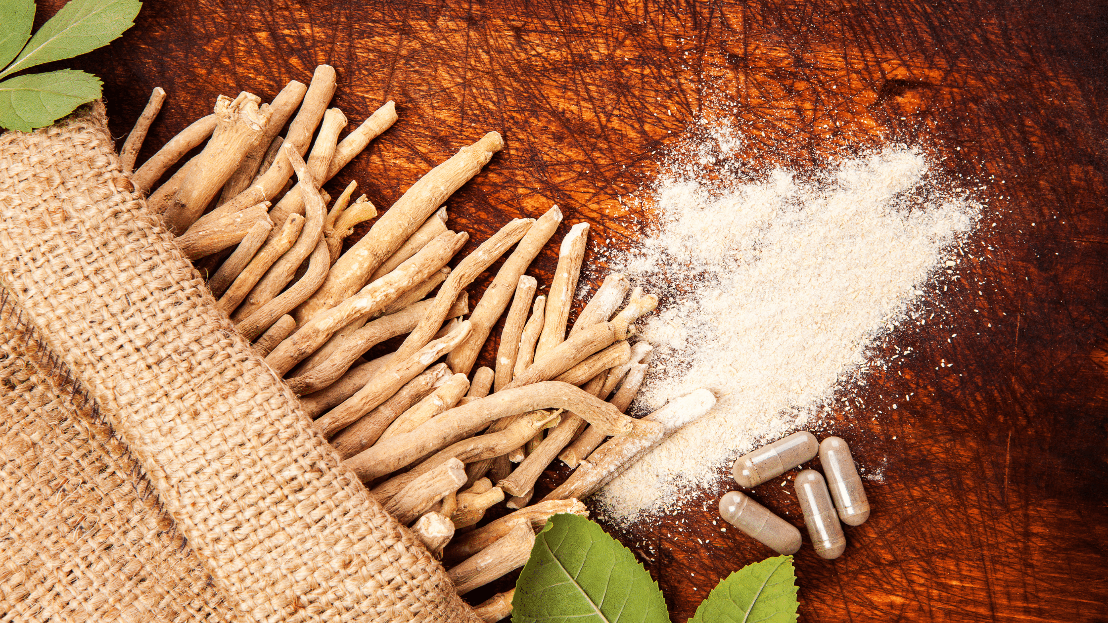 Ashwagandha: The Stress Relief Stallion