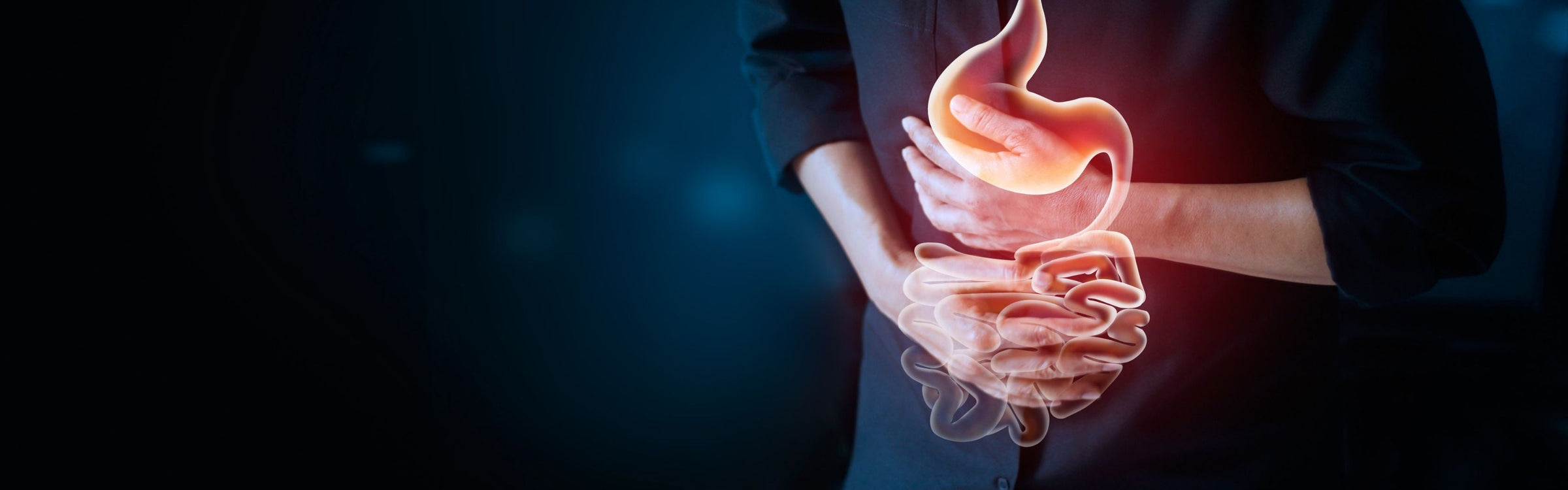 Bifidobacterium lactis