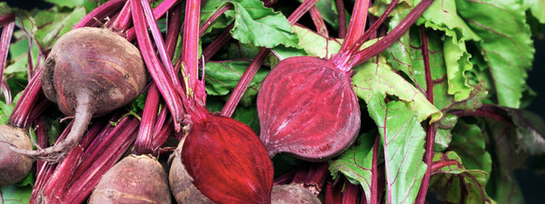Nitrates, Nitrites and Nitric Oxide: Why NO Matters