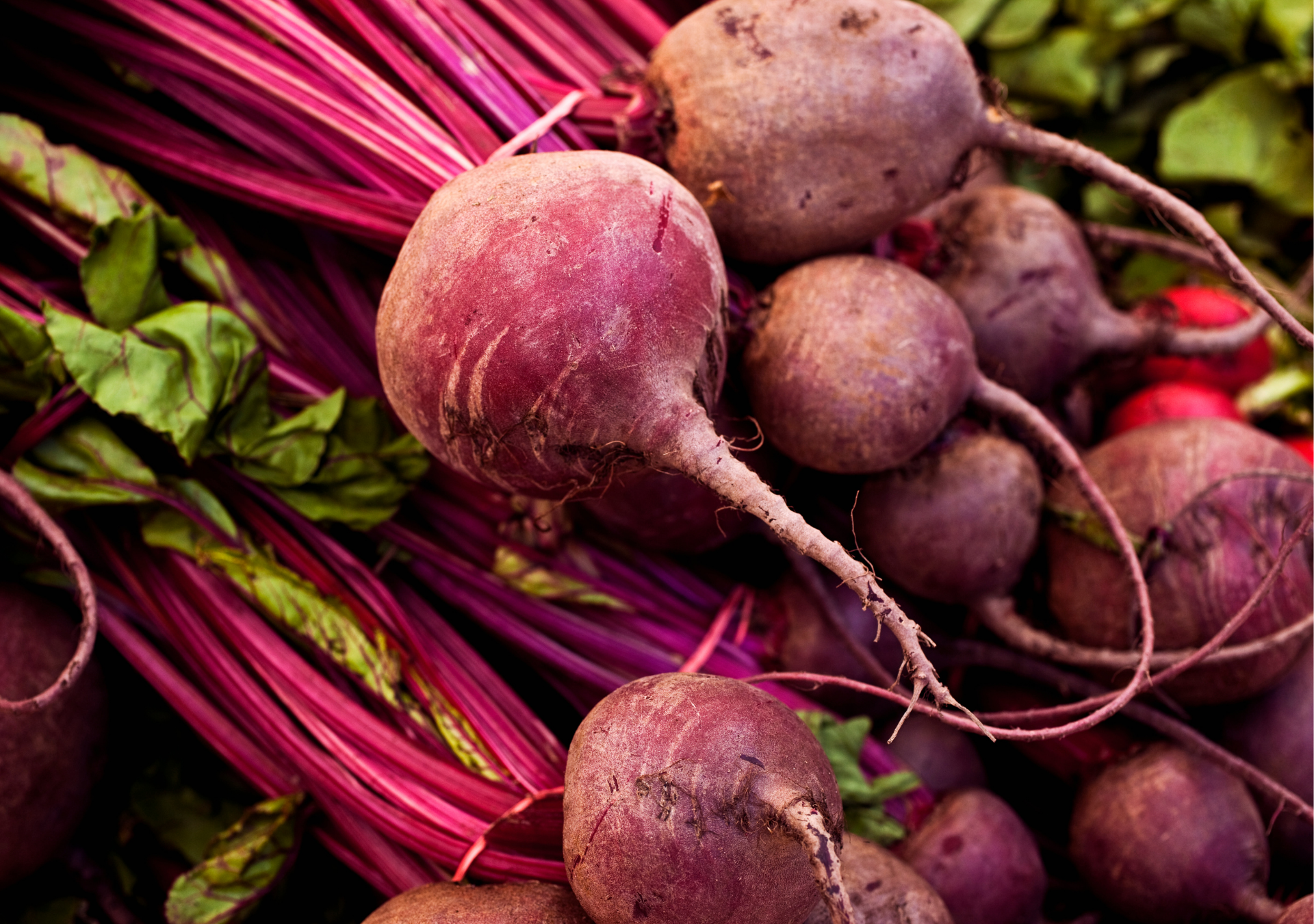 Beetroot
