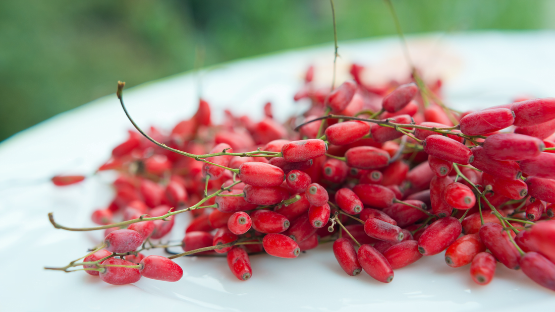 Get to know Berberine