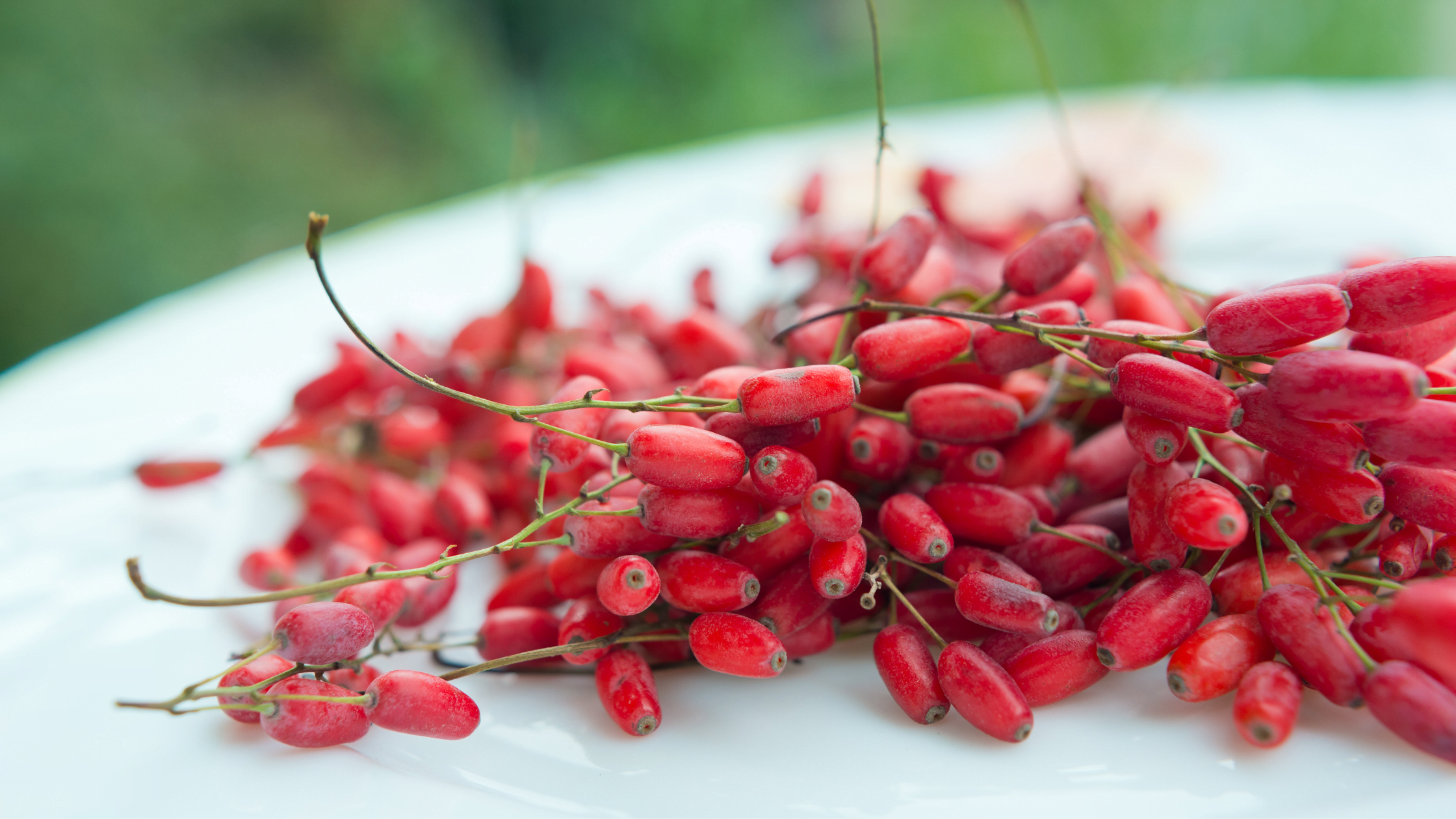 Get to know Berberine