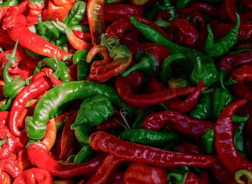 fresh red and green cayenne chillies