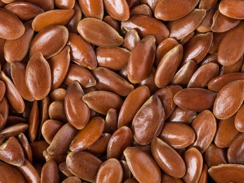 Flax Seed