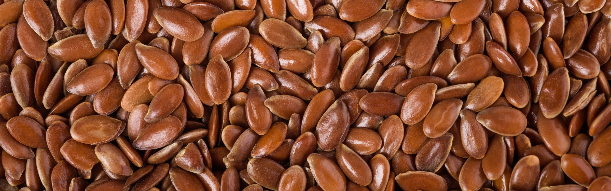 Flax Seed