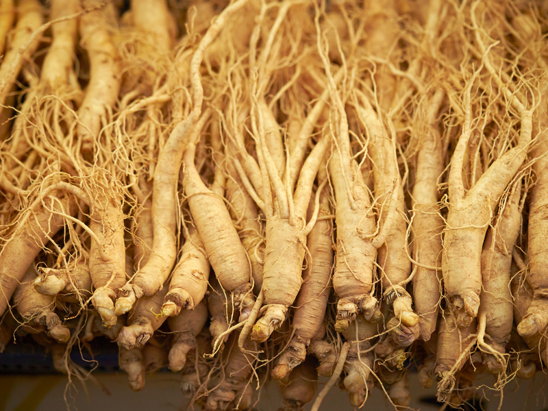 Siberian Ginseng