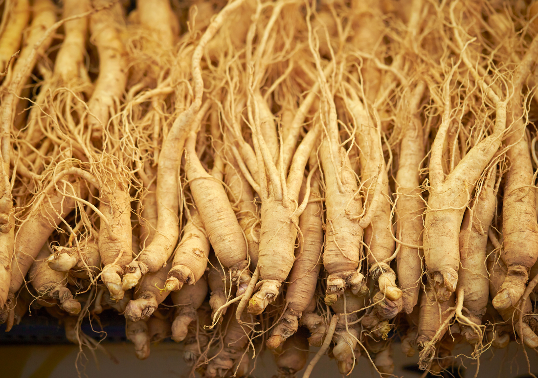 Siberian Ginseng
