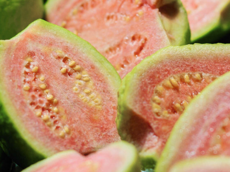 Guava