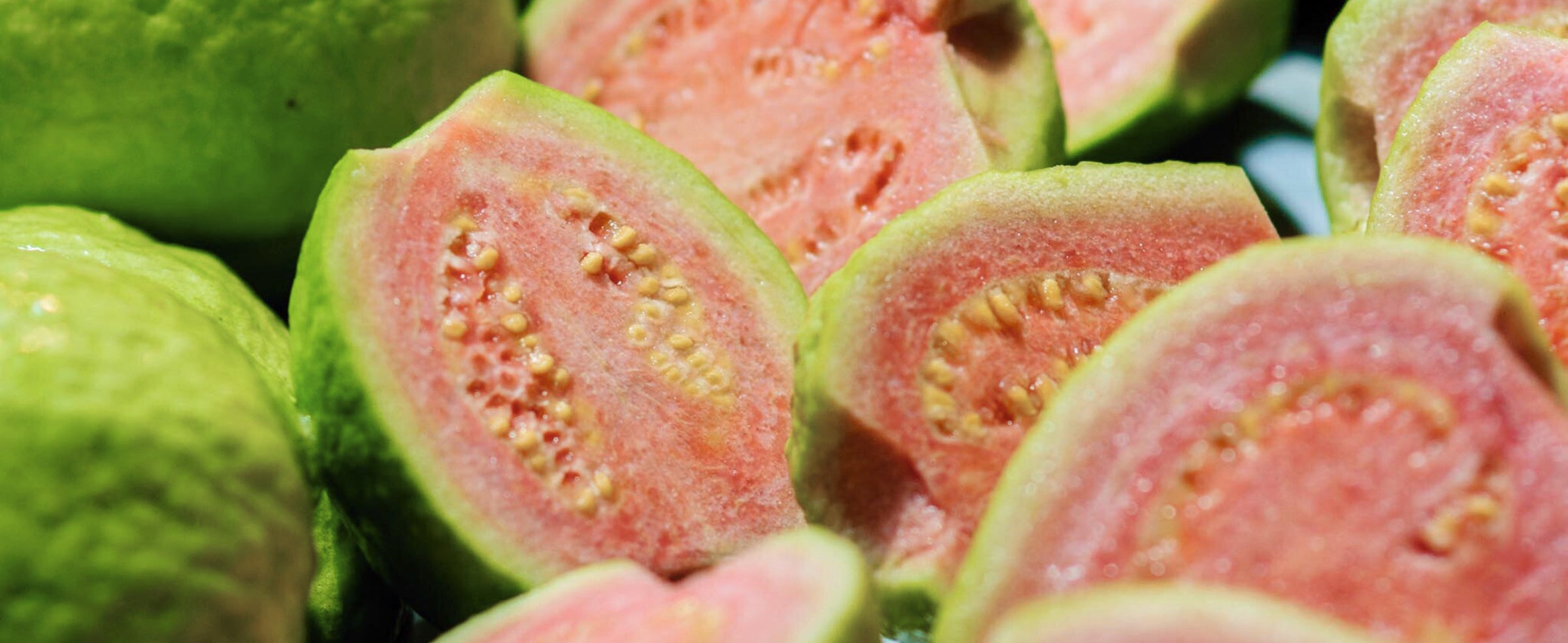 Guava