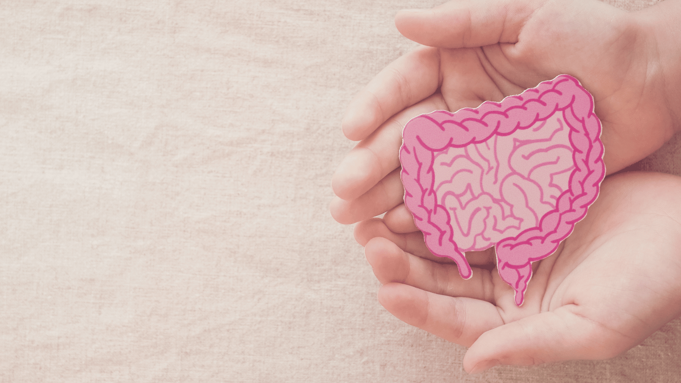 A guide to good gut health