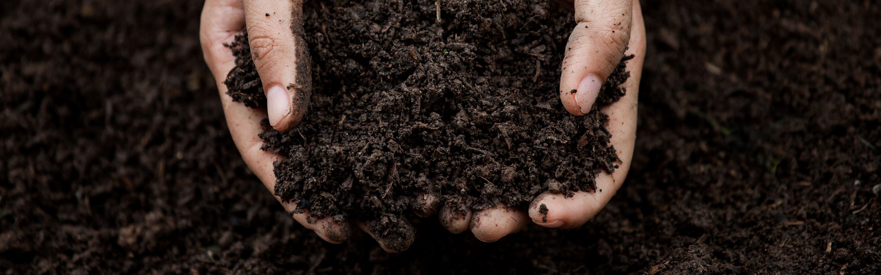 Humic Acid