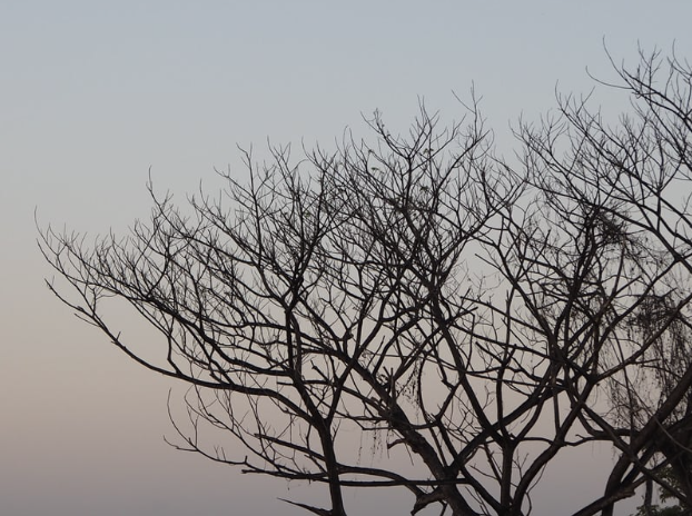 Skincare Secrets for the Winter Season: Protecting Your Skin from Harsh Weather