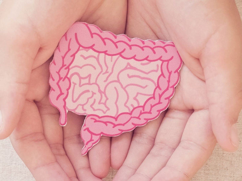 Lactobacillus acidophilus