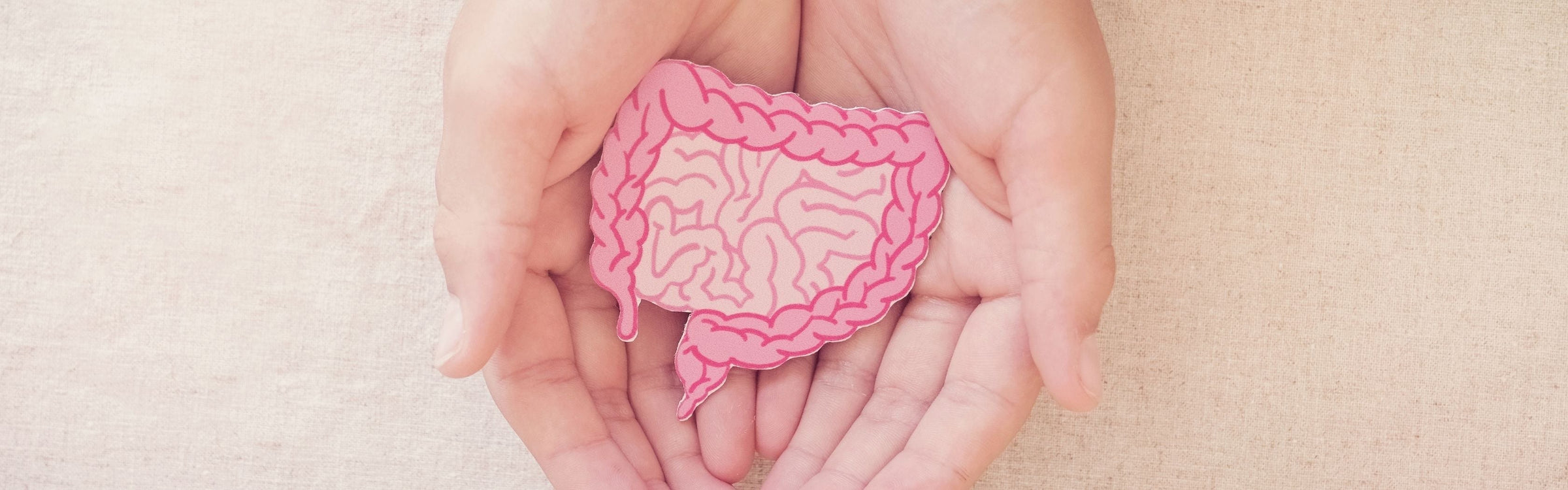 Lactobacillus acidophilus