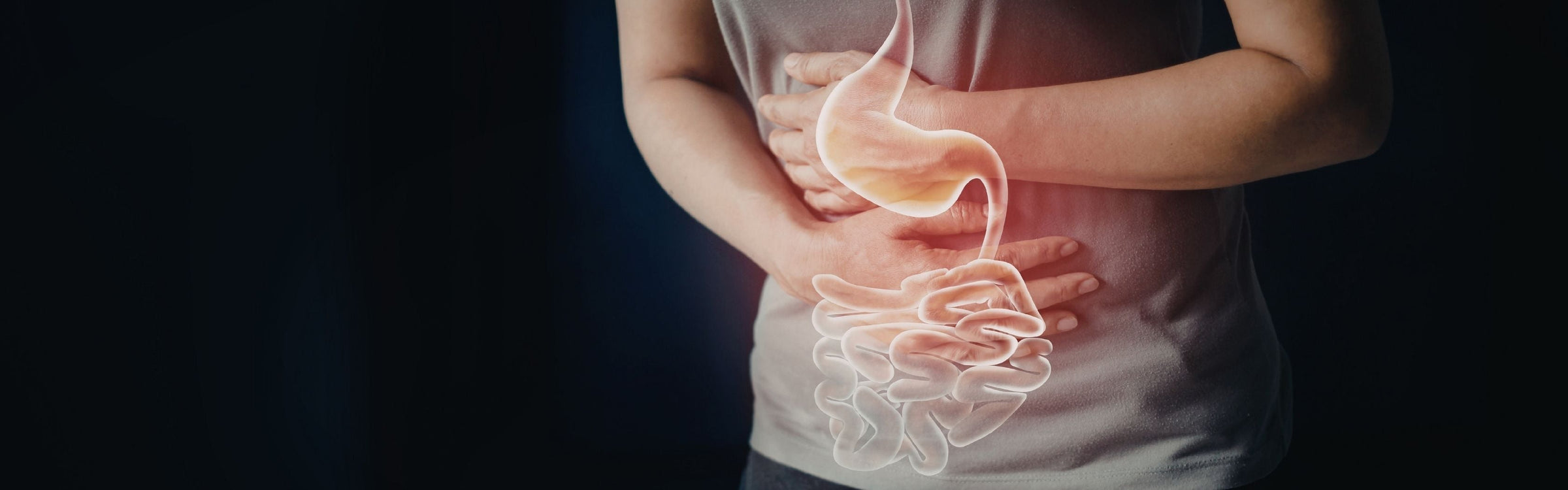 Lactobacillus helveticus