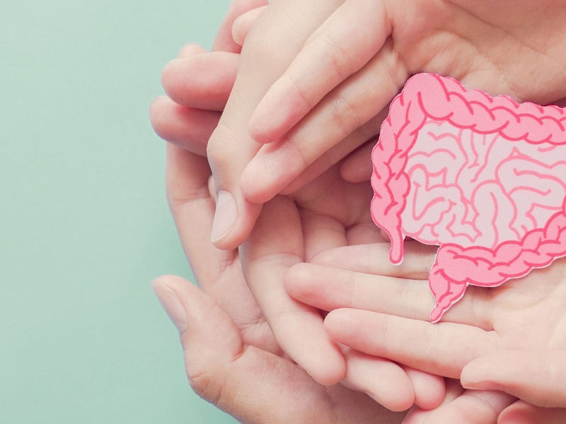 Lactobacillus johnsonii