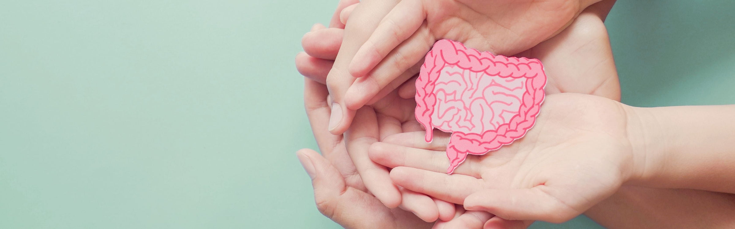 Lactobacillus johnsonii